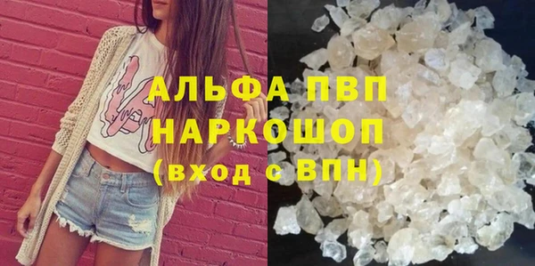 крисы Абаза