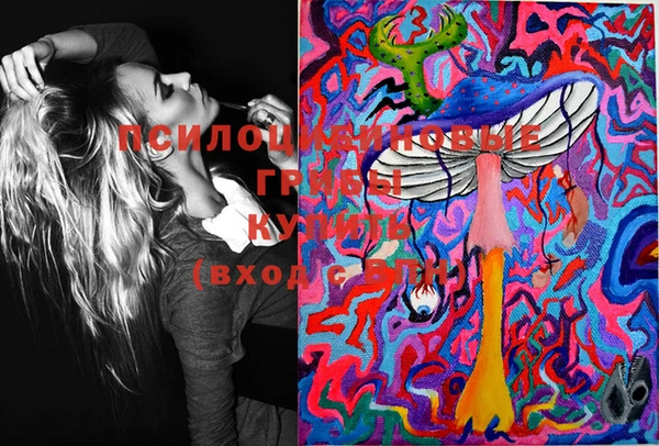 ПСИЛОЦИБИНОВЫЕ ГРИБЫ Абдулино